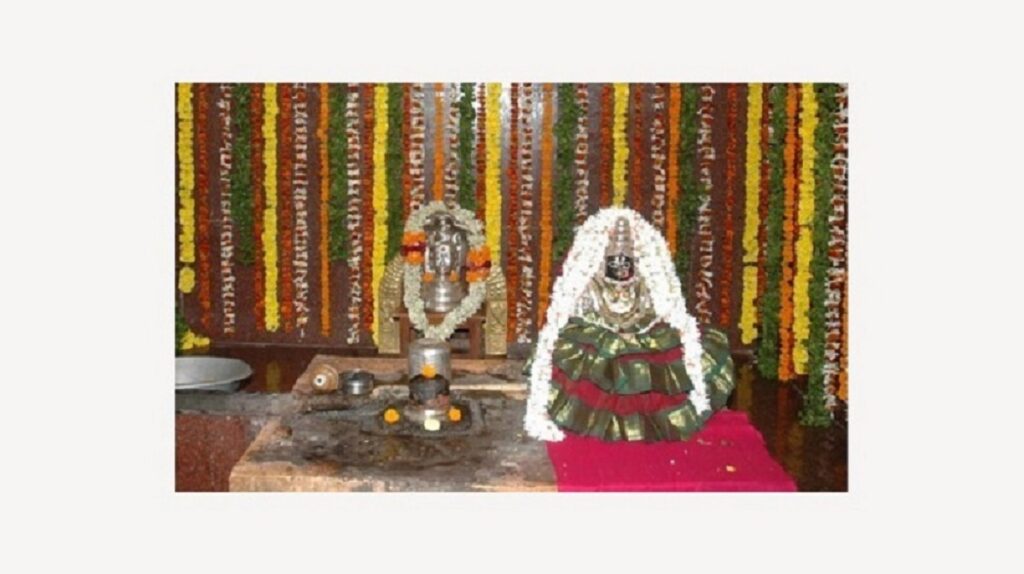 17402054551457194226