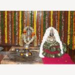 17402054551457194226